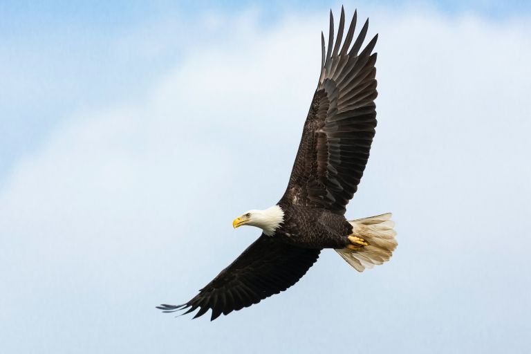 Mathew Schwartz Nevs5lhyrlk Unsplash